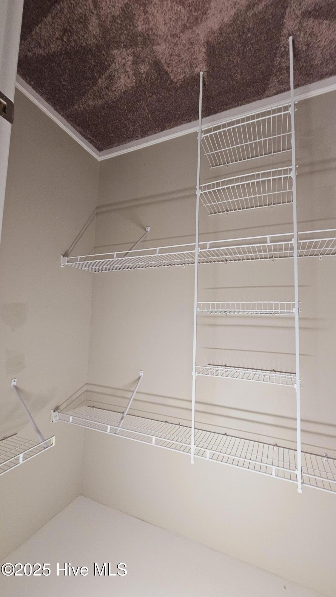 266 Caldwell Loop Jacksonville, NC 28546 - Photo 13 of 20 1000038086