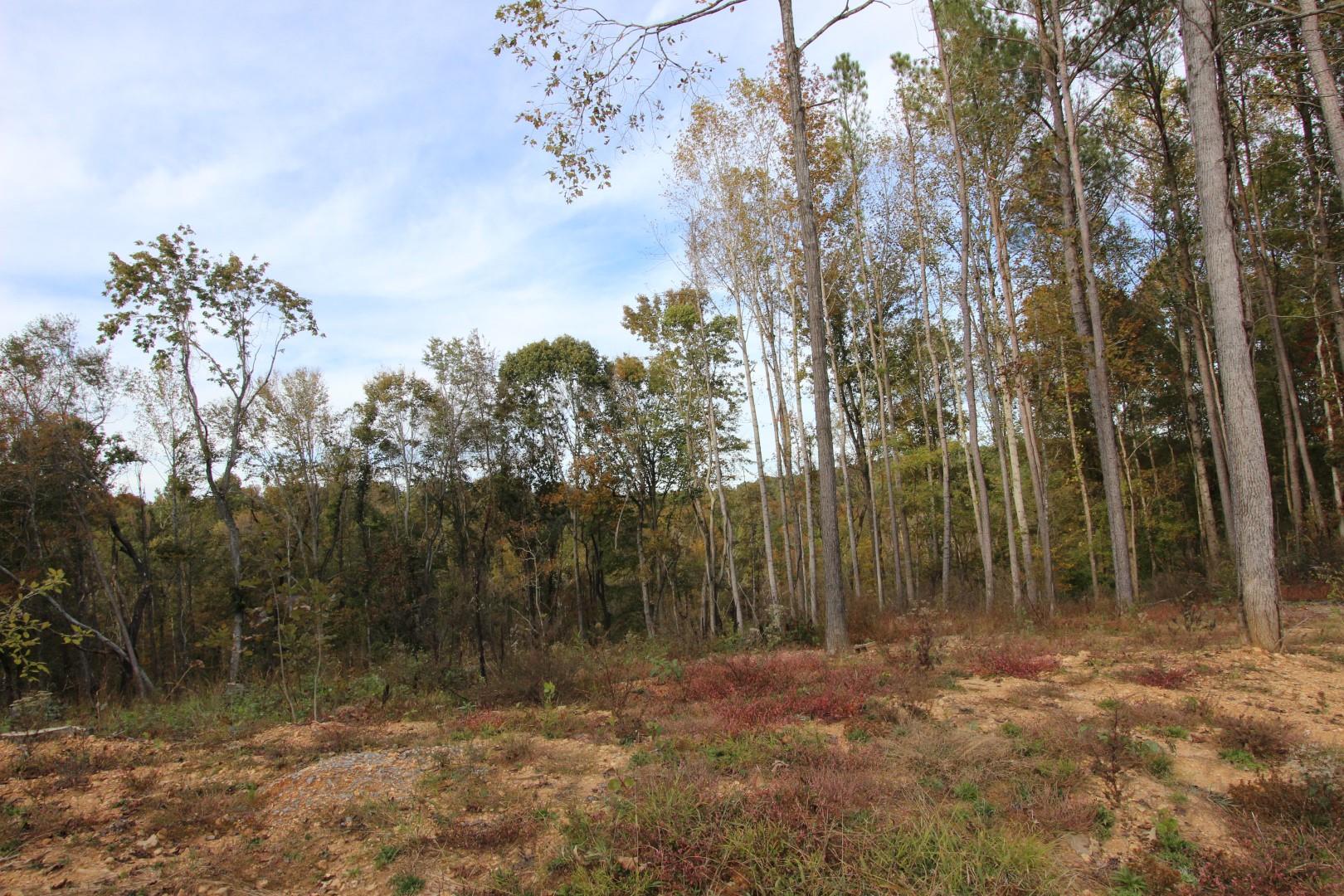182 River Road Dover, TN 37058 - Photo 25 of 30 Country setting