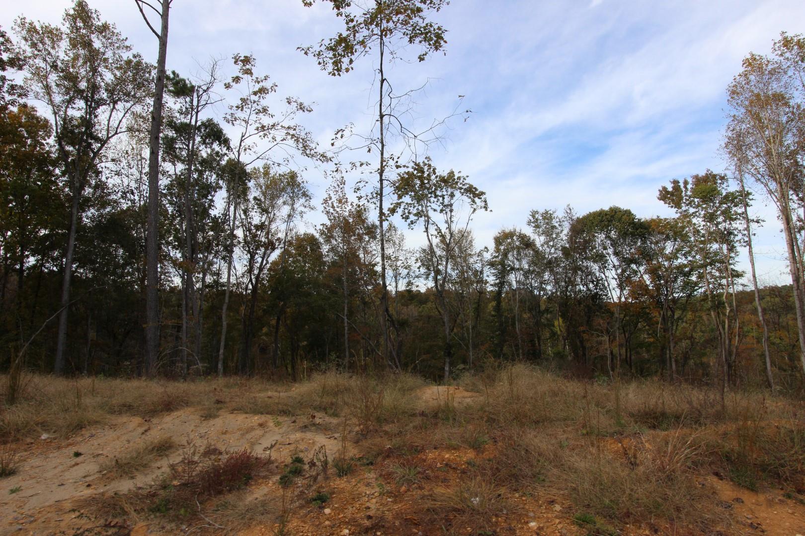 182 River Road Dover, TN 37058 - Photo 26 of 30 Property joins USA property on one side area.