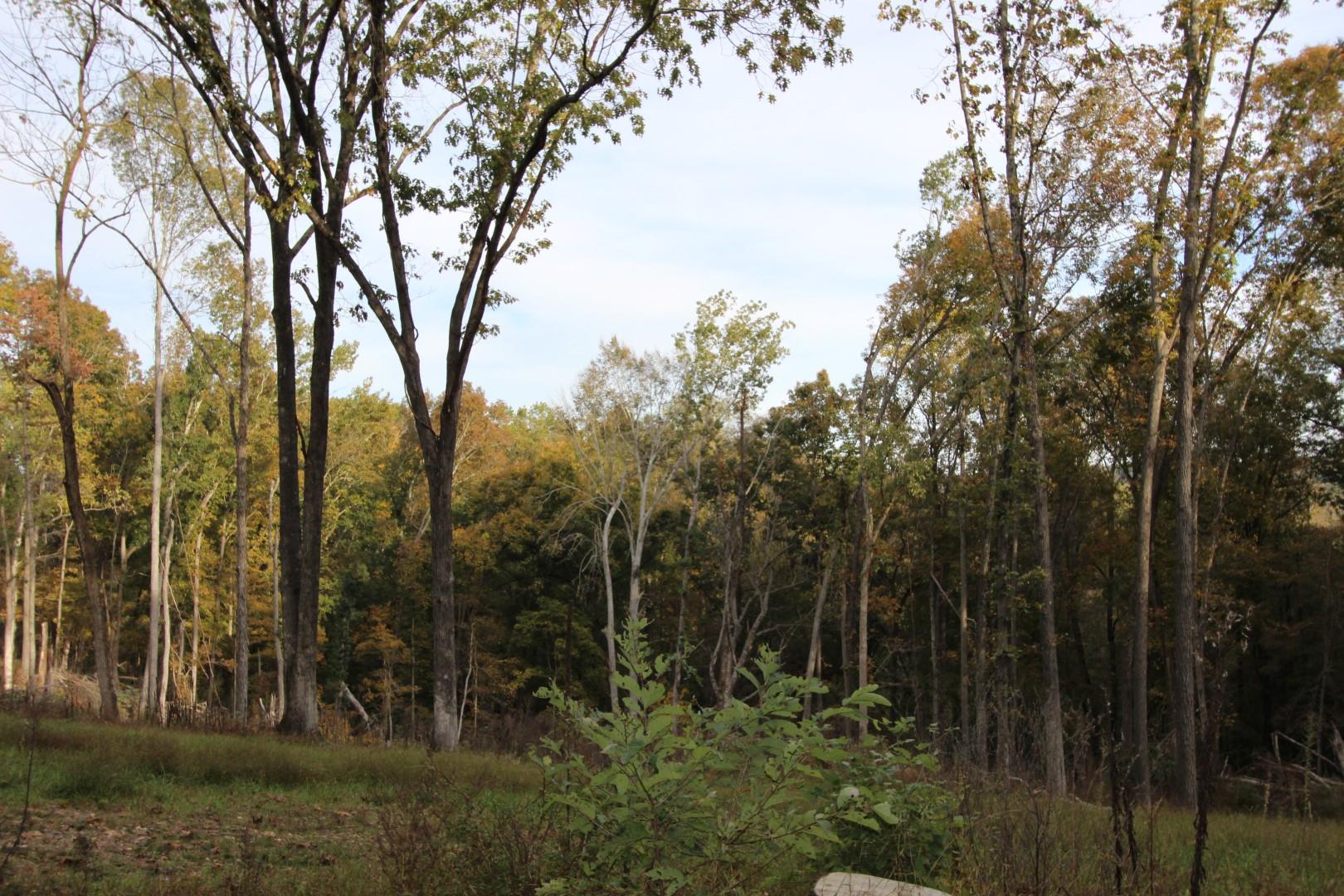182 River Road Dover, TN 37058 - Photo 27 of 30 Great to prepare for large garden or-- you decide!