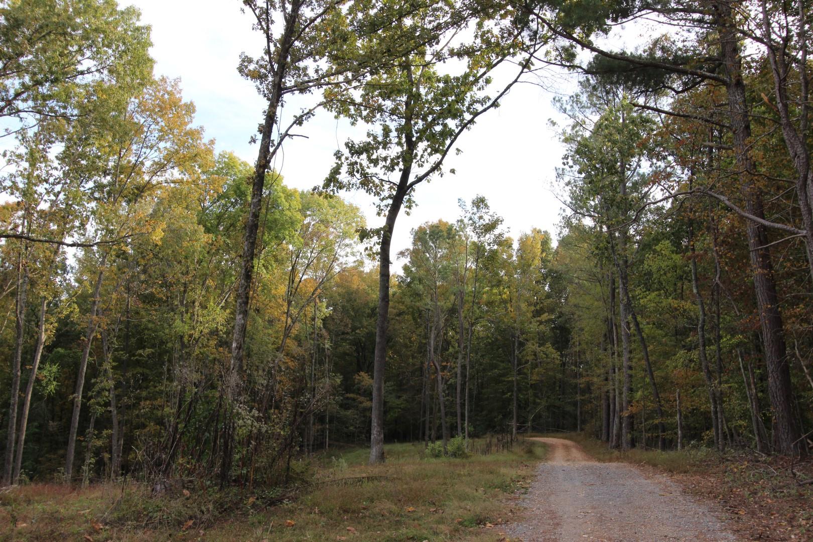 182 River Road Dover, TN 37058 - Photo 5 of 30 Private & peaceful setting.