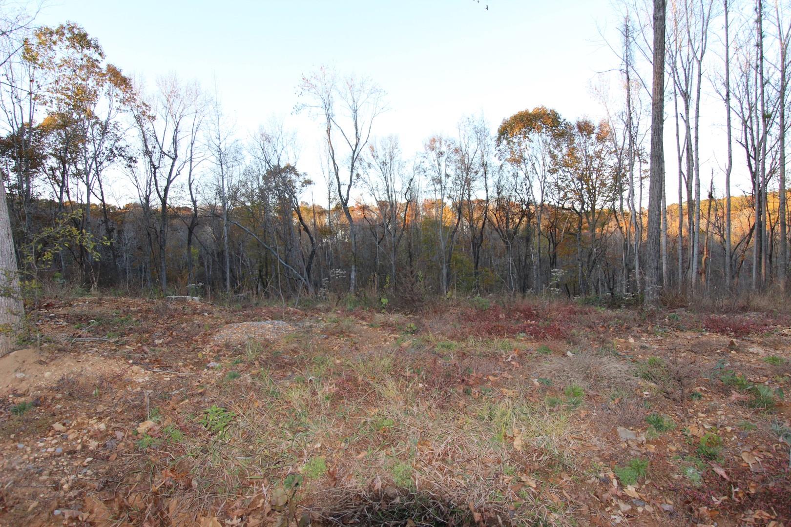 182 River Road Dover, TN 37058 - Photo 8 of 30 Seasonal lake view property & minutes to boat launching & River Bottoms.