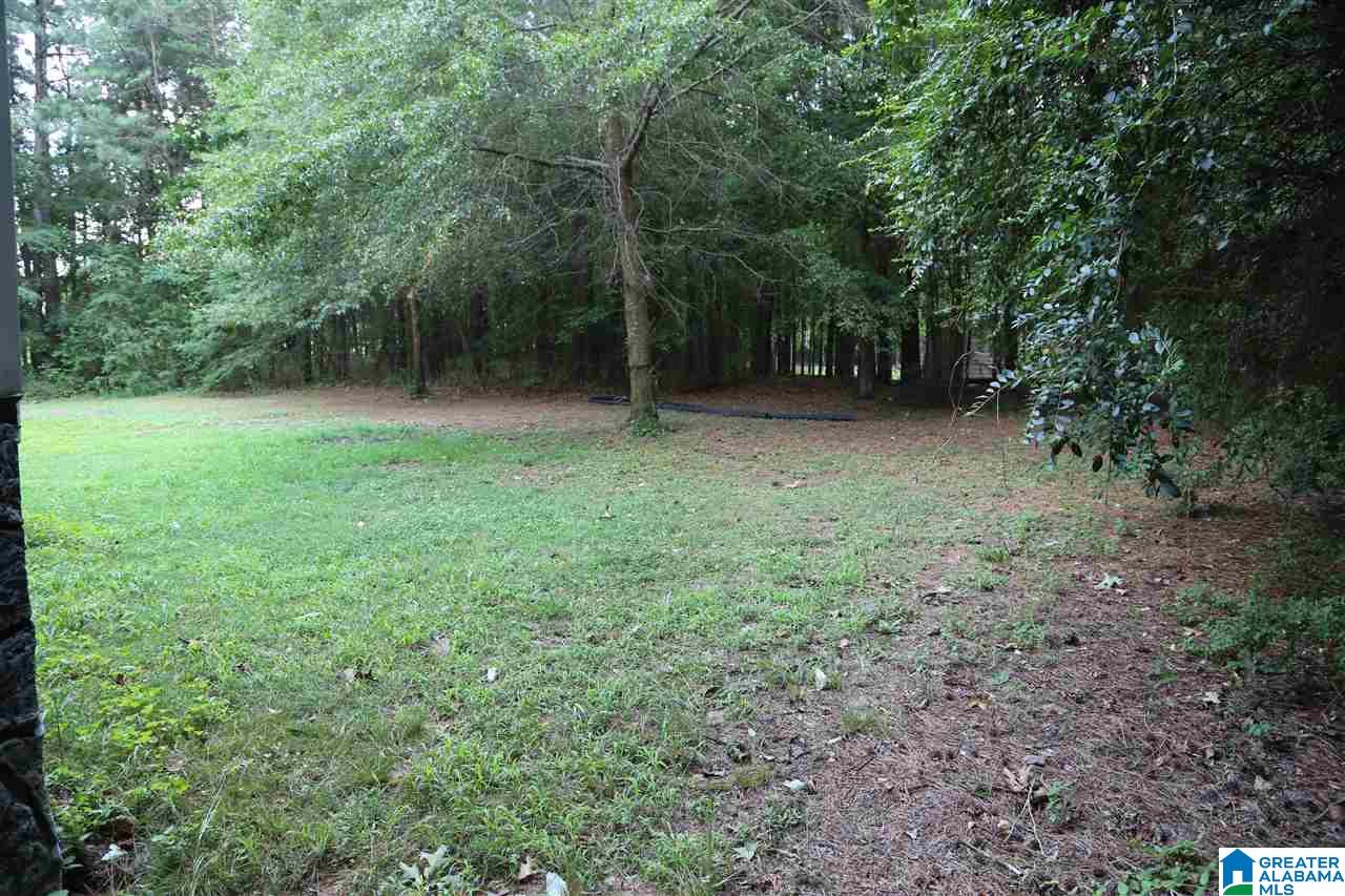 1060 Fred Terry Road Locust Fork, AL 35097 - Photo 6 of 6