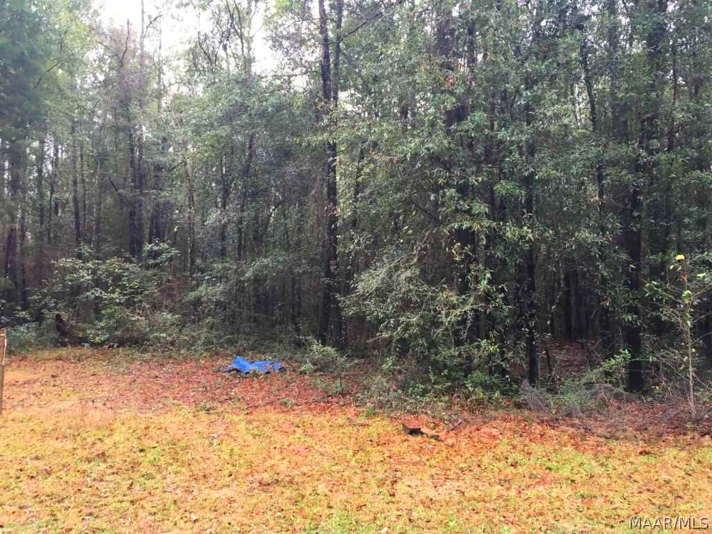 30 Acres Mound Road Black, AL 36314 - Photo 13 of 16 Gallery Image 13