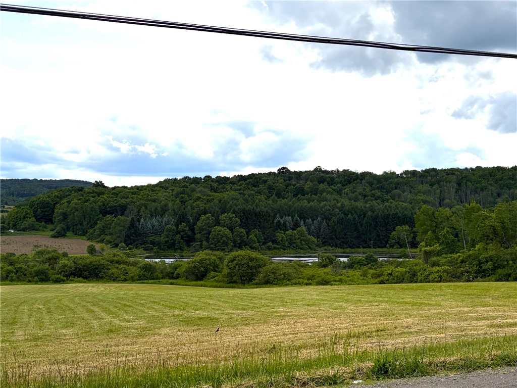 Lot 3 Summit Road Cuba, NY 14727 - Photo 3 of 20