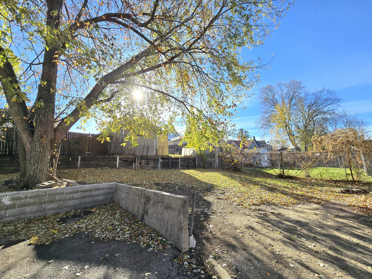 328 Rosewood Avenue Aurora, IL 60505 - Photo 4 of 24 a view of a yard with plants and trees