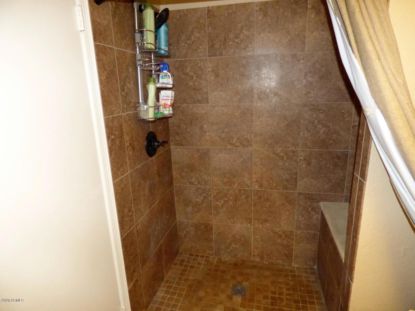 2855 South Ext Road, Unit 252 Mesa, AZ 85210 - Photo 12 of 22 MASTER SHOWER