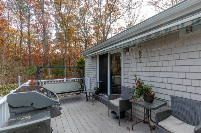 a view of backyard with furniture and a potted plant