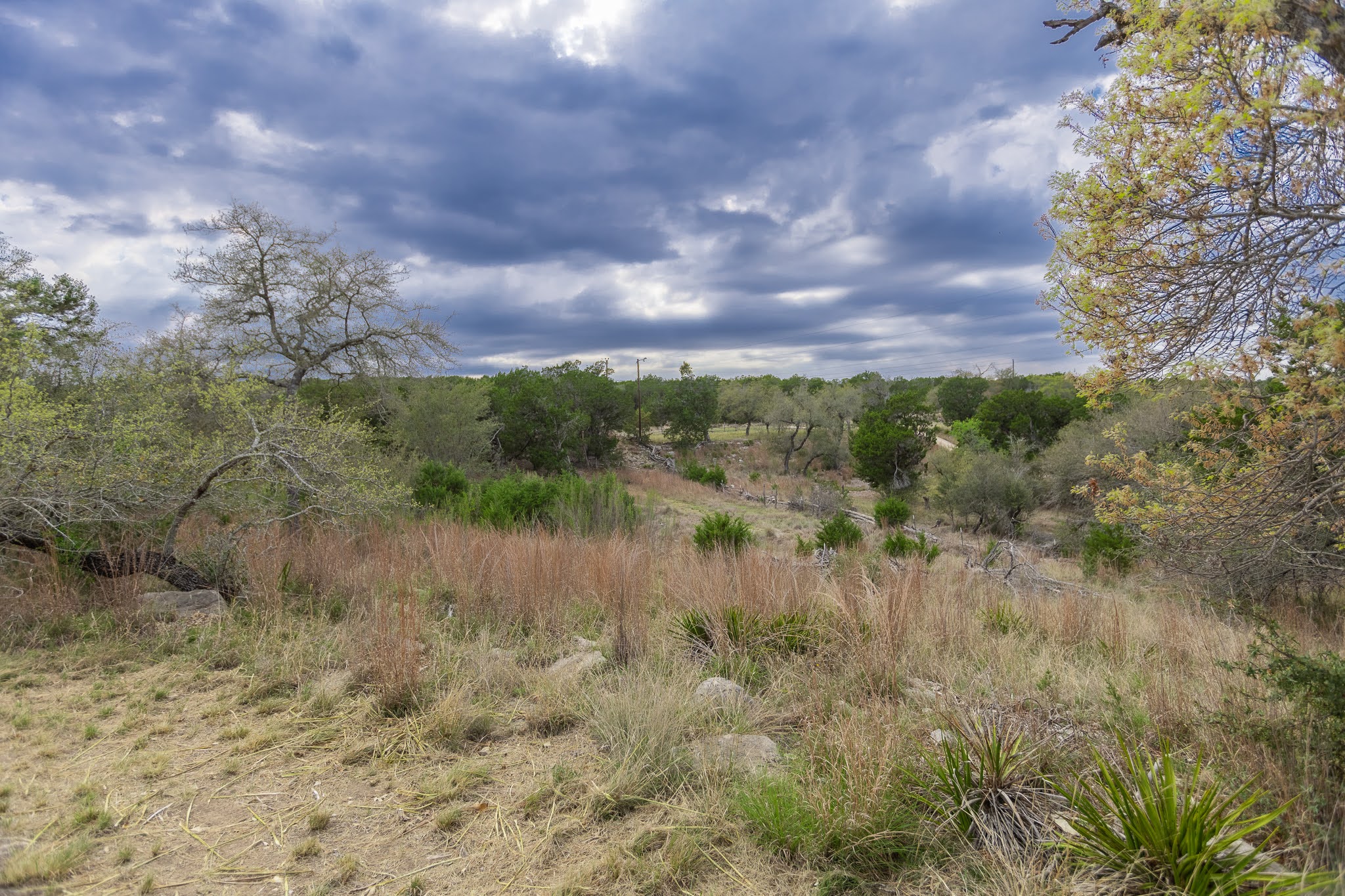 1925 Cripple Creek Stage Road Dripping Springs, TX 78620 - Photo 34 of 38