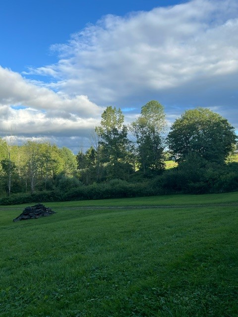 173 Williams Road Windsor, NY 13865 - Photo 8 of 38