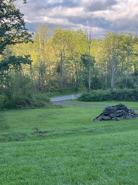 173 Williams Road Windsor, NY 13865 - Photo 9 of 38