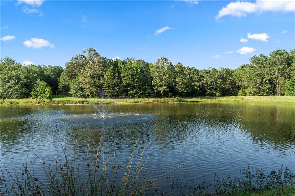 4940 North Frontage Road Winfield, TX 75455 - Photo 11 of 40 Upper pond just down from the house.