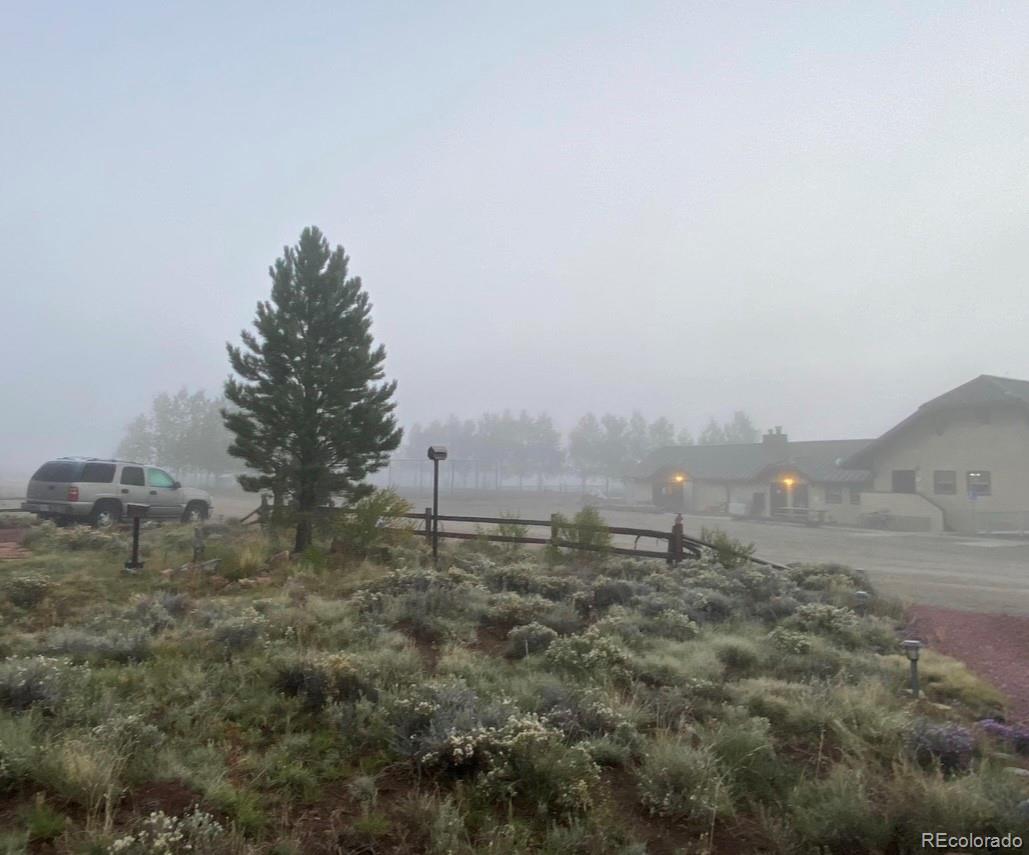 44 Clubcar Road Fairplay, CO 80440 - Photo 9 of 13 a view of a dry yard with trees