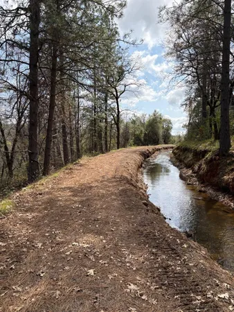 a view of water with trees