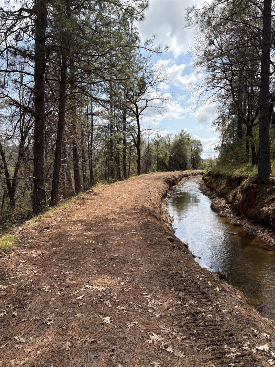 a view of water with trees