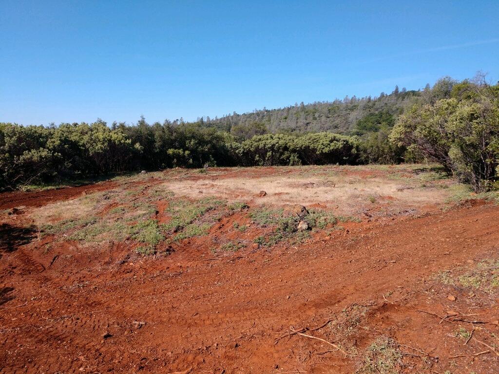 11006 Dawn Lane Grass Valley, CA 95949 - Photo 12 of 17 a view of outdoor space with ocean view