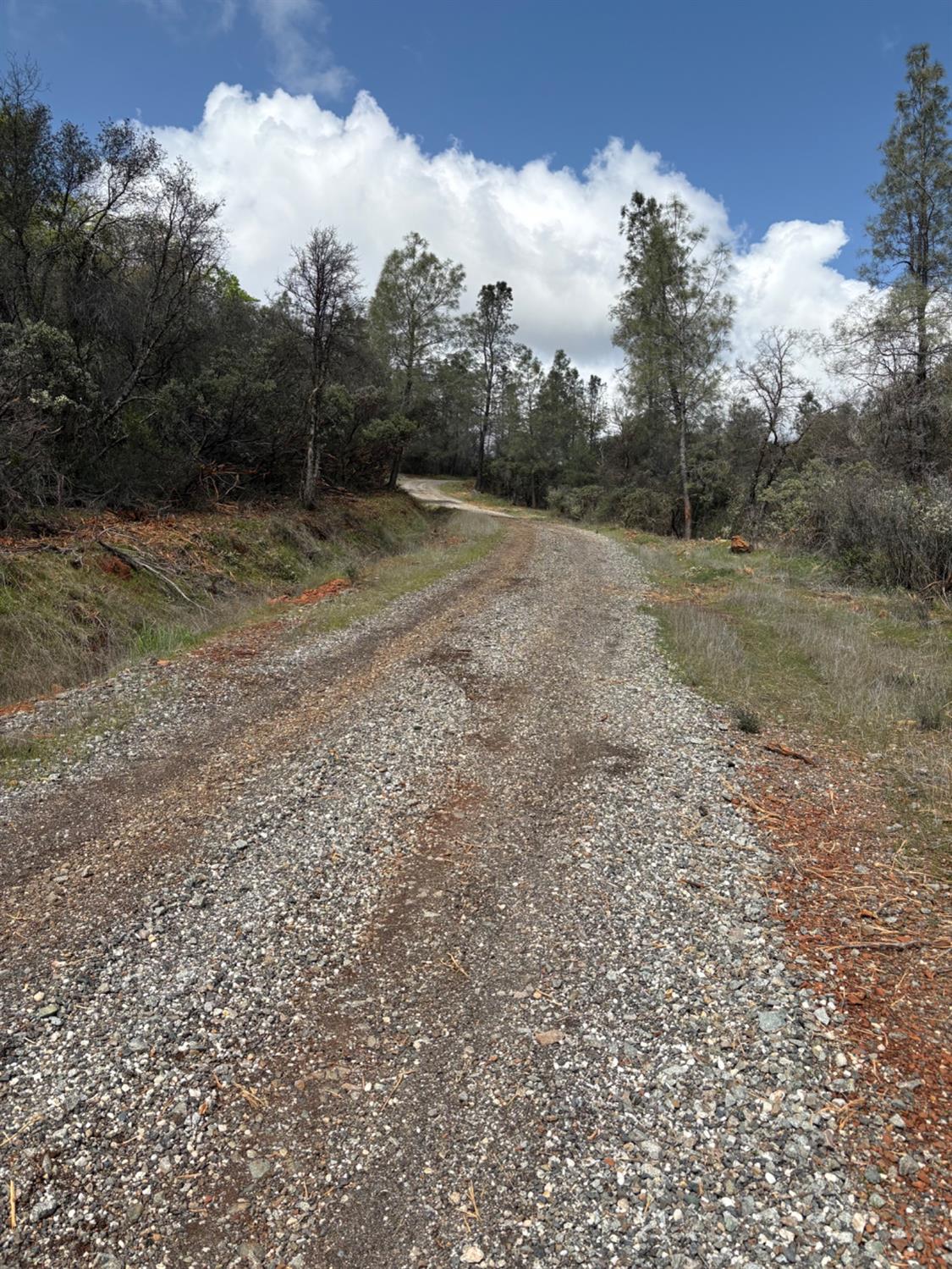 11006 Dawn Lane Grass Valley, CA 95949 - Photo 13 of 17 a view of outdoor space with trees all around