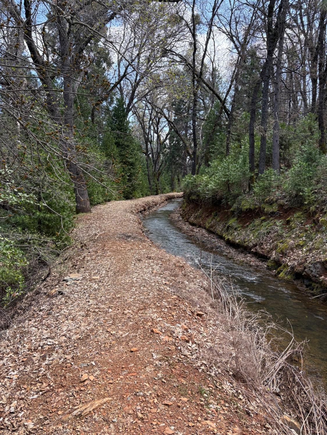 11006 Dawn Lane Grass Valley, CA 95949 - Photo 15 of 17 a big yard with lots of green space