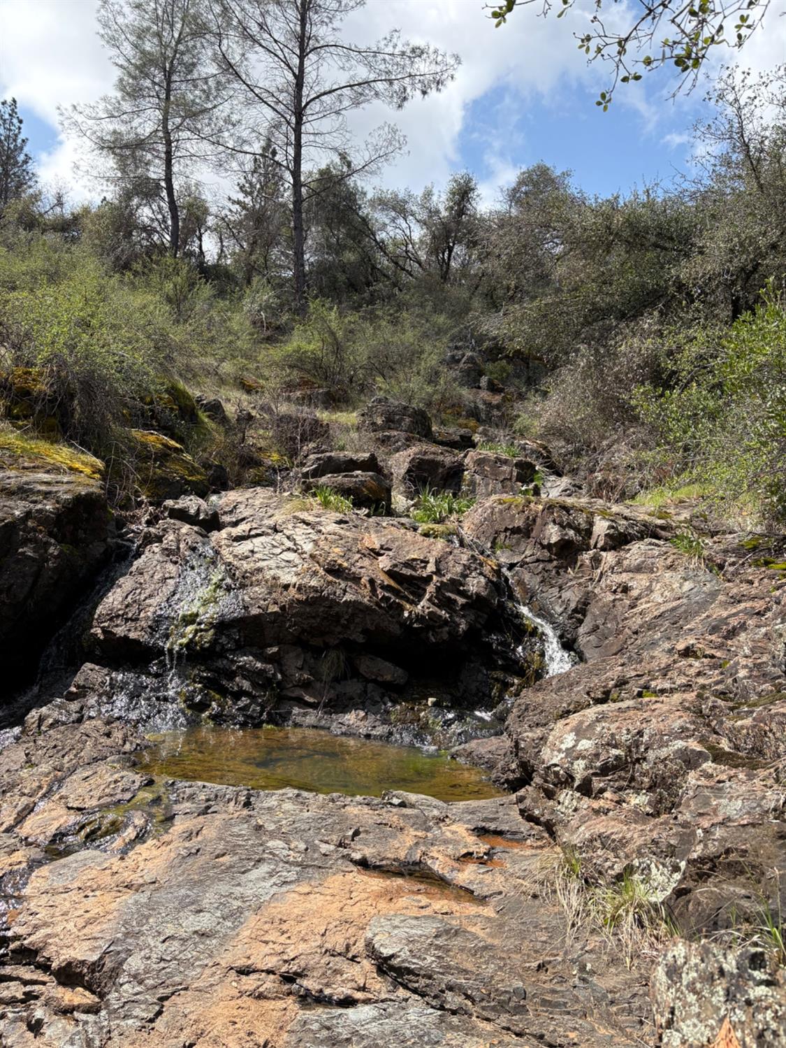 11006 Dawn Lane Grass Valley, CA 95949 - Photo 3 of 17 a view of a lake view