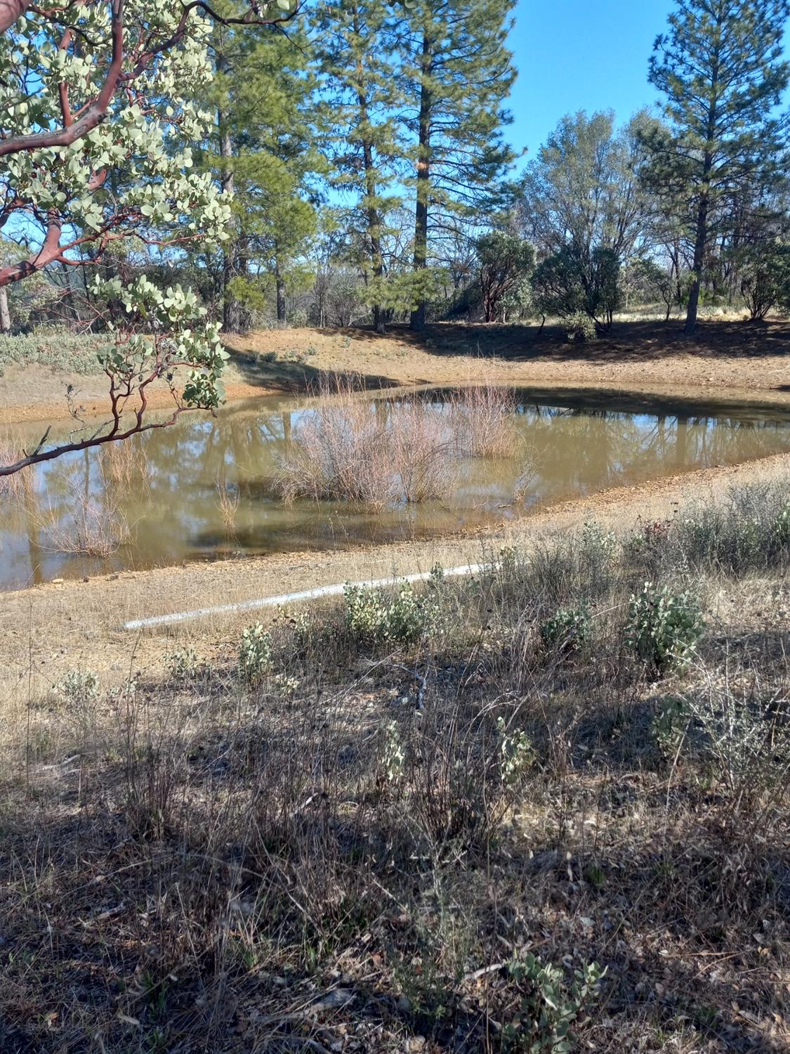 11006 Dawn Lane Grass Valley, CA 95949 - Photo 4 of 17 a view of a lake view
