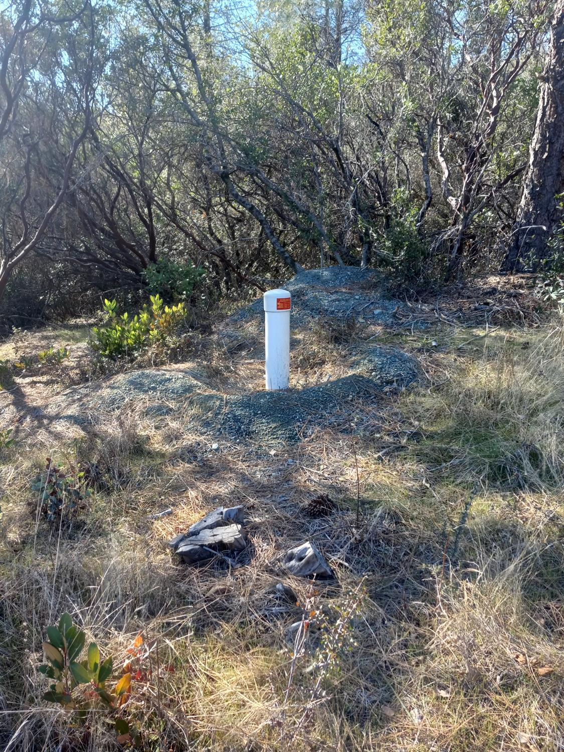 11006 Dawn Lane Grass Valley, CA 95949 - Photo 7 of 17 a view of a trees with a yard