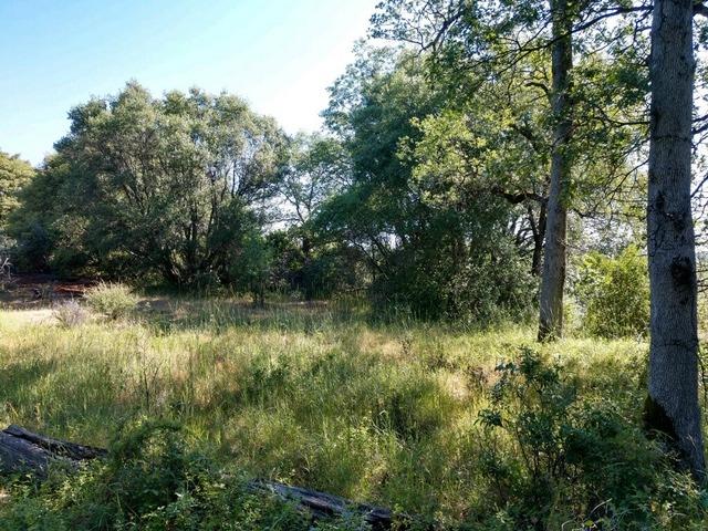 11006 Dawn Lane Grass Valley, CA 95949 - Photo 9 of 17 a view of lake with green space