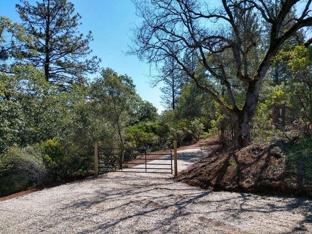 11006 Dawn Lane Grass Valley, CA 95949 - Photo 10 of 17 a view of a yard with plants and trees