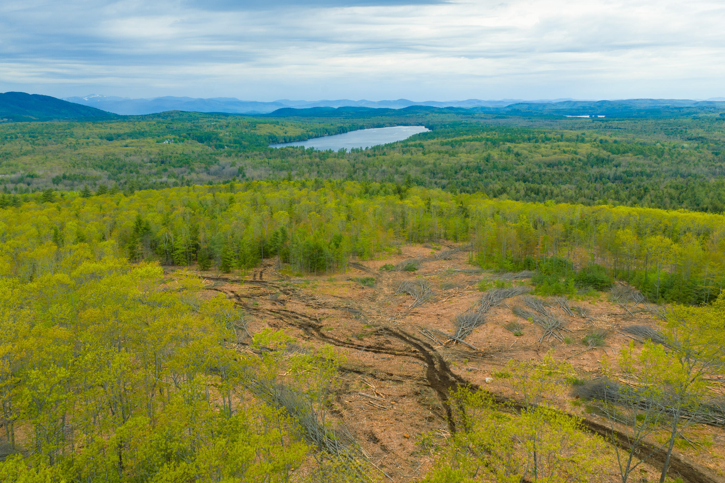 Lot 28 South Bridgton Road Bridgton, ME 04009 - Photo 5 of 10 15_0 Ray Whitney Rd_MorneauStudios_Print