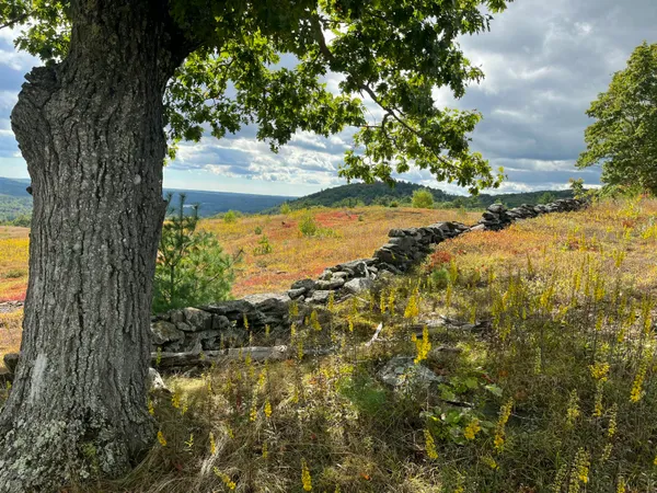 $595,000 | 0 Heart Oak Ln Union, Union, ME 04862