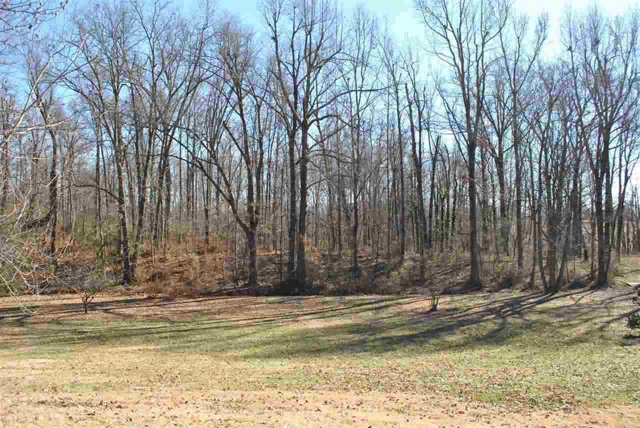 1804 Busby Station Road Robards, KY 42452 - Photo 10 of 11 Gallery Image 10