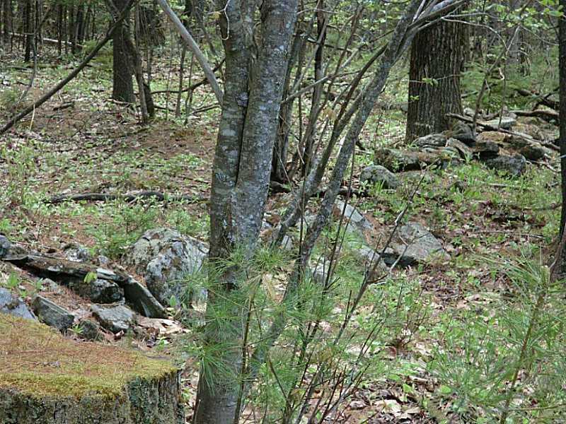 86 Chets Way, Unit 5 Cumberland Center, ME 04021 - Photo 7 of 14 Land/Lot.