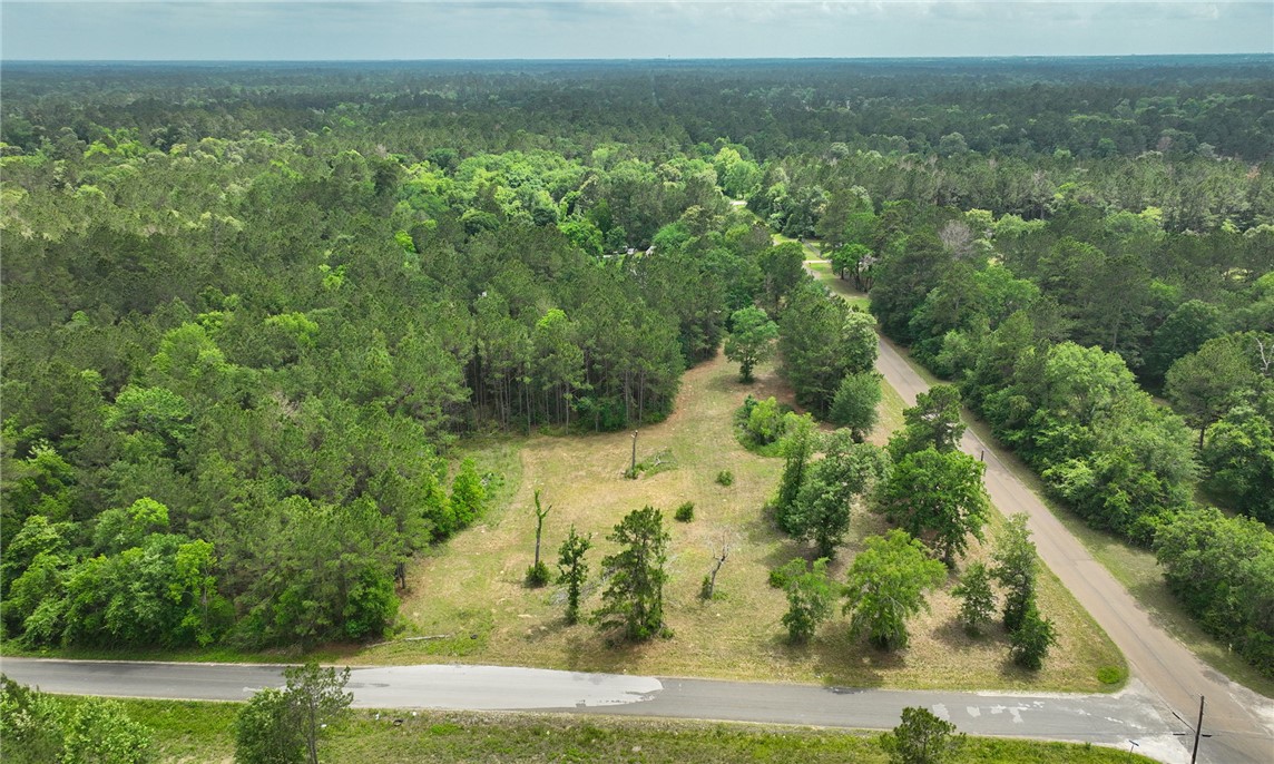 5914 Carter Road Waller, TX 77484 - Photo 8 of 41