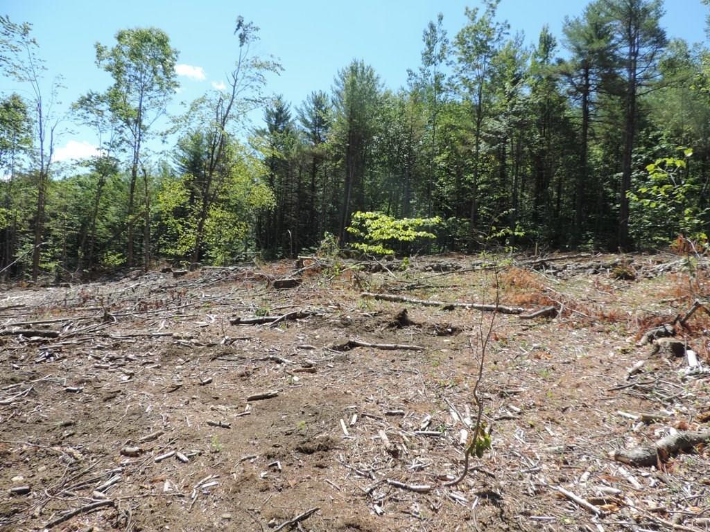 14-5 Fessenden Hill Road Denmark, ME 04022 - Photo 4 of 10 Upper end of the clearing would be...