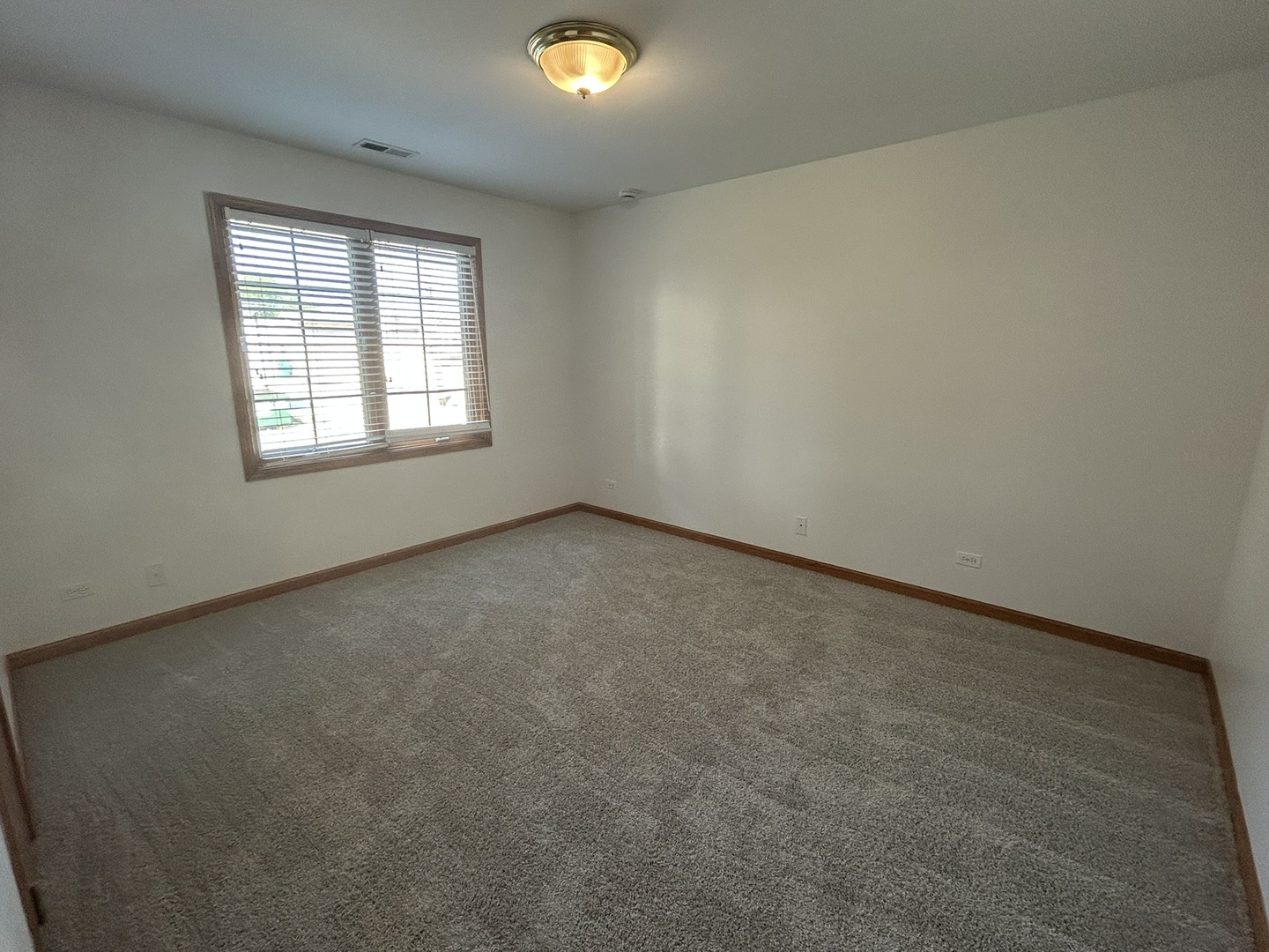 308 State Street, Unit 2 Lemont, IL 60439 - Photo 12 of 13 Gallery Image 12