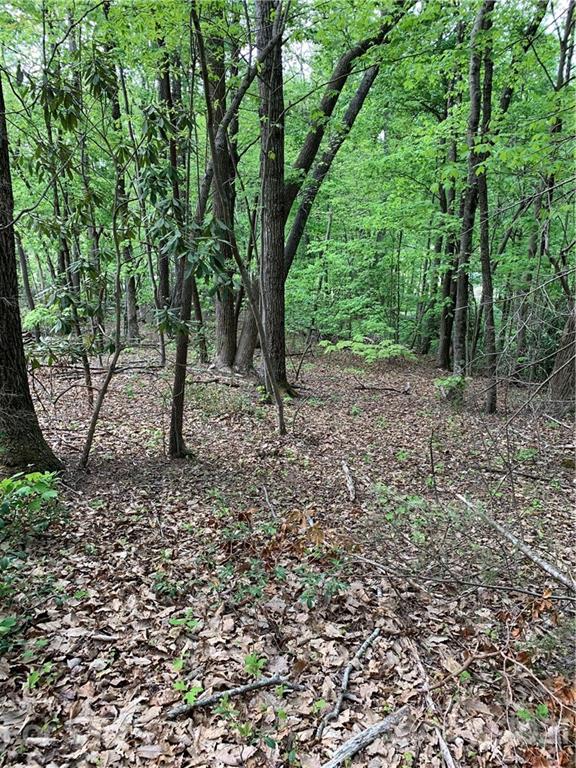 1183 Golf Course Road, Unit 29 Old Fort, NC 28762 - Photo 2 of 13 Gallery Image 2