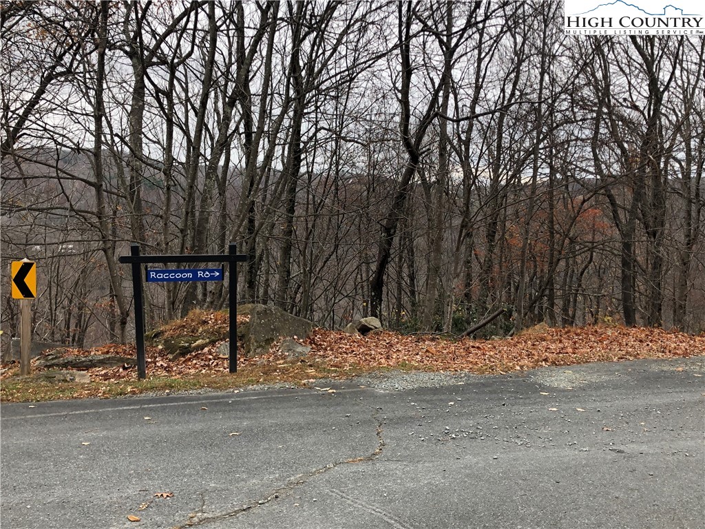 101-103 Raccoon Road Beech Mountain, NC 28604 - Photo 1 of 6 Gallery Image 1
