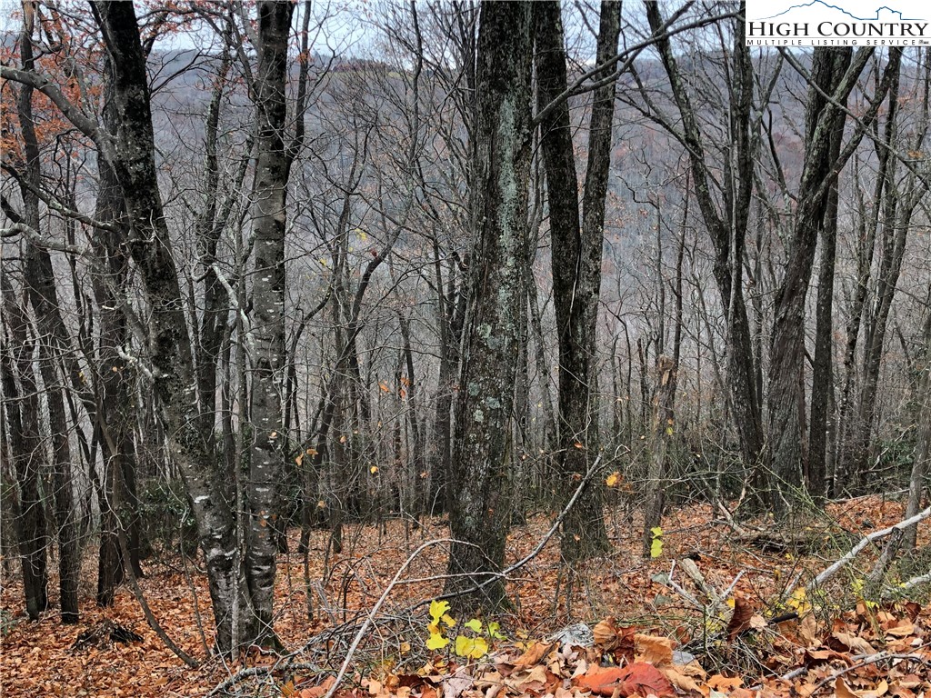 101-103 Raccoon Road Beech Mountain, NC 28604 - Photo 2 of 6 Gallery Image 2