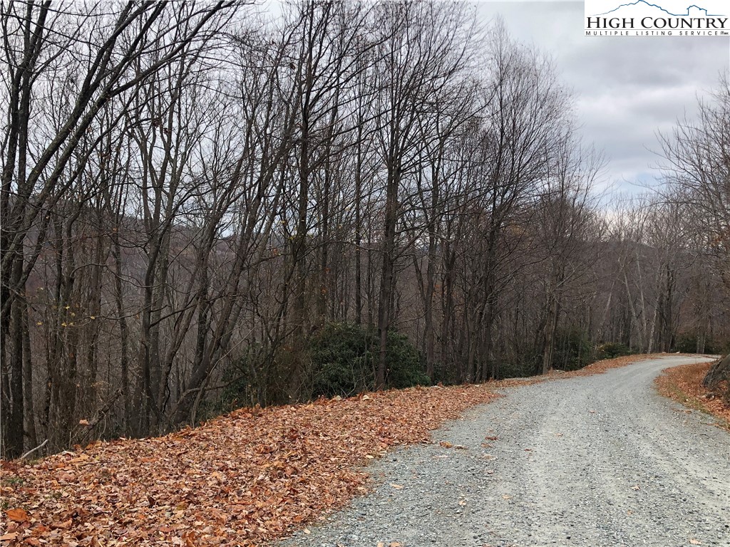 101-103 Raccoon Road Beech Mountain, NC 28604 - Photo 4 of 6 Gallery Image 4