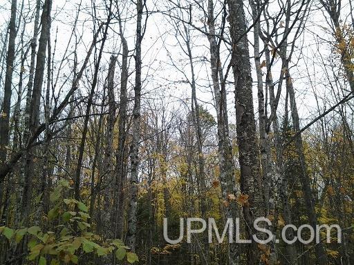 Tbd Whitefish Road Chatham, MI 49816 - Photo 25 of 30