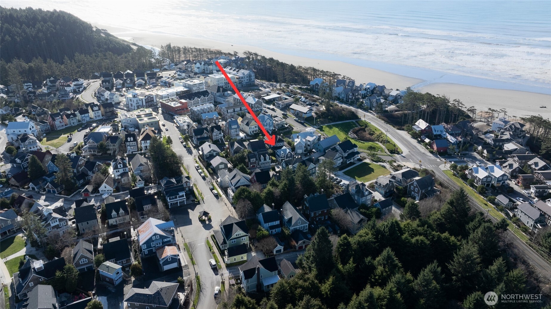 33 Fireside Lane Pacific Beach, WA 98571 - Photo 37 of 40 a view of a city