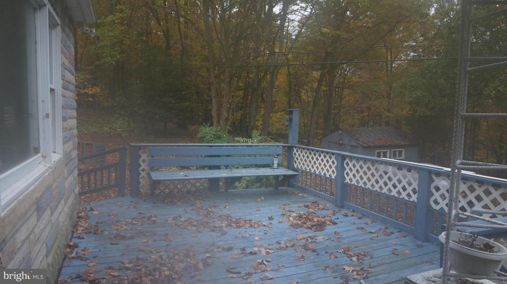 295 Cold Run Valley Road Berkeley Springs, WV 25411 - Photo 26 of 30 Lots of Decking