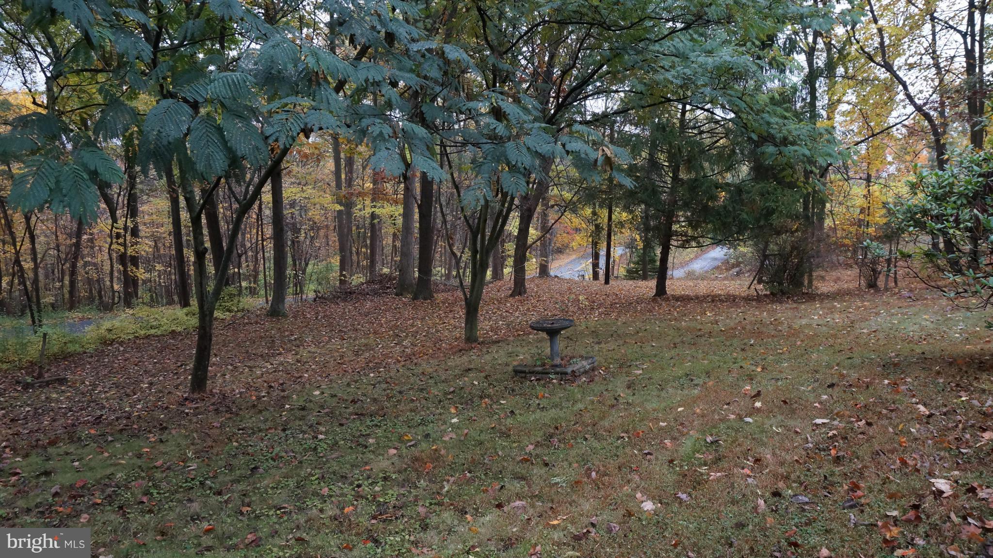 295 Cold Run Valley Road Berkeley Springs, WV 25411 - Photo 28 of 30 Wooded Yard