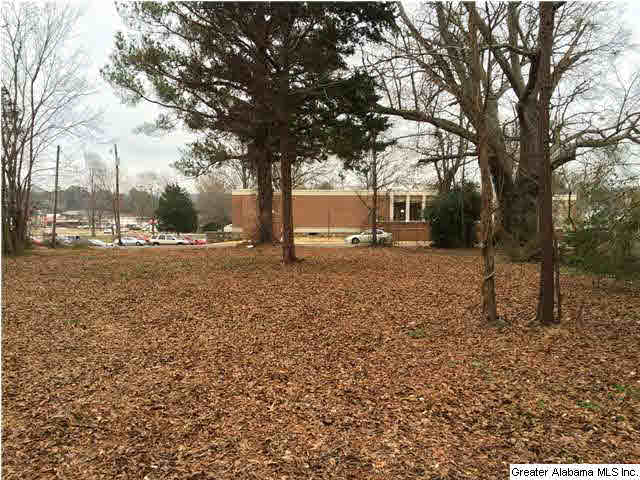 503 5th Street North Oneonta, AL 35121 - Photo 9 of 32