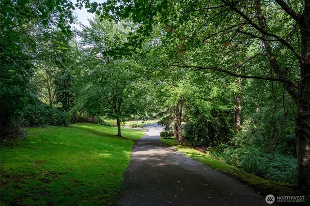 a view of a park with large trees
