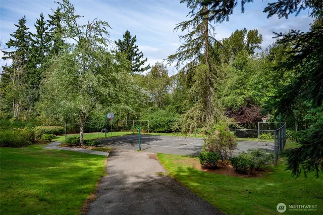 a view of a park with a tree