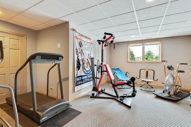 3311 Cornflower Way Spring Grove, IL 60081 - Photo 28 of 29