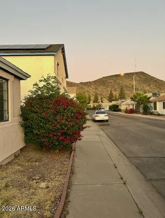 a view of a street with potted plants