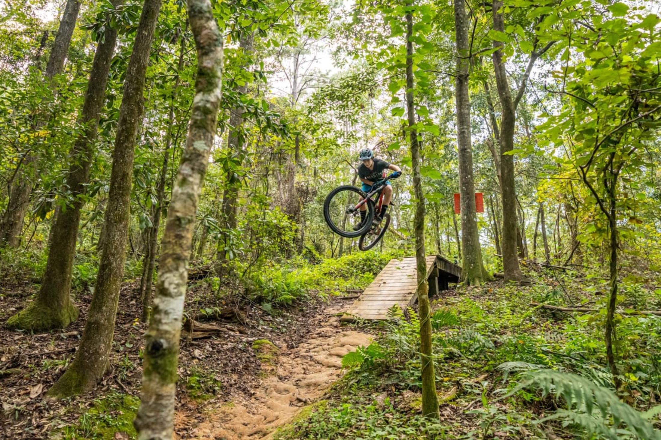 4520 Garden Oaks Way Tallahassee, FL 32311 - Photo 39 of 43 Gallery Image 39
