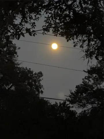 a view of a swimming pool with a yard and plants