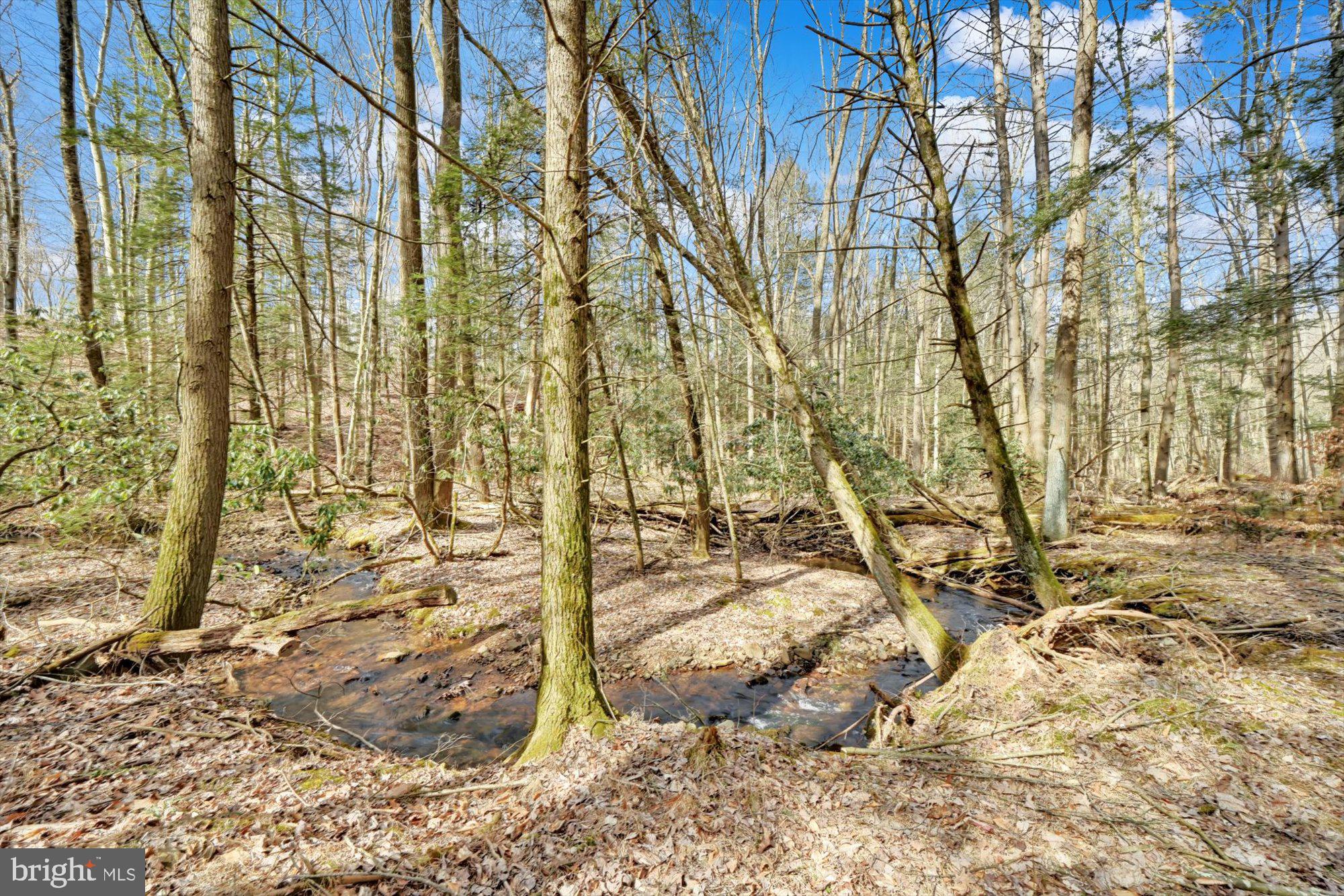 849 Swopes Valley Road Pine Grove, PA 17963 - Photo 42 of 49 Gallery Image 42